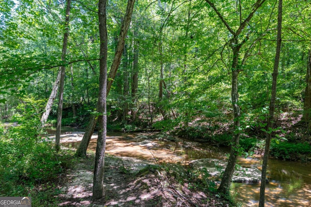 2425 Spratlin Mill Road Hull - Photo 41