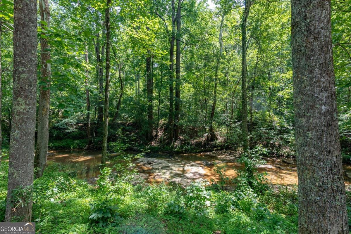 2425 Spratlin Mill Road Hull - Photo 51