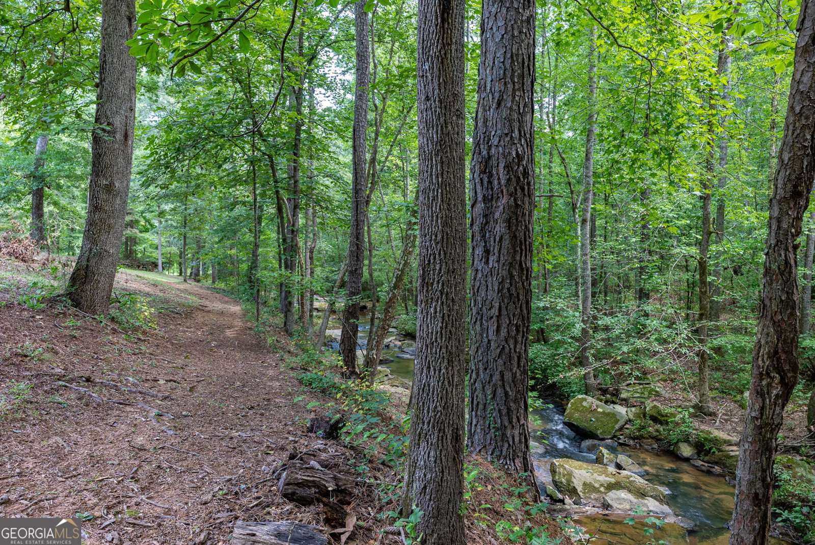 2425 Spratlin Mill Road Hull - Photo 73
