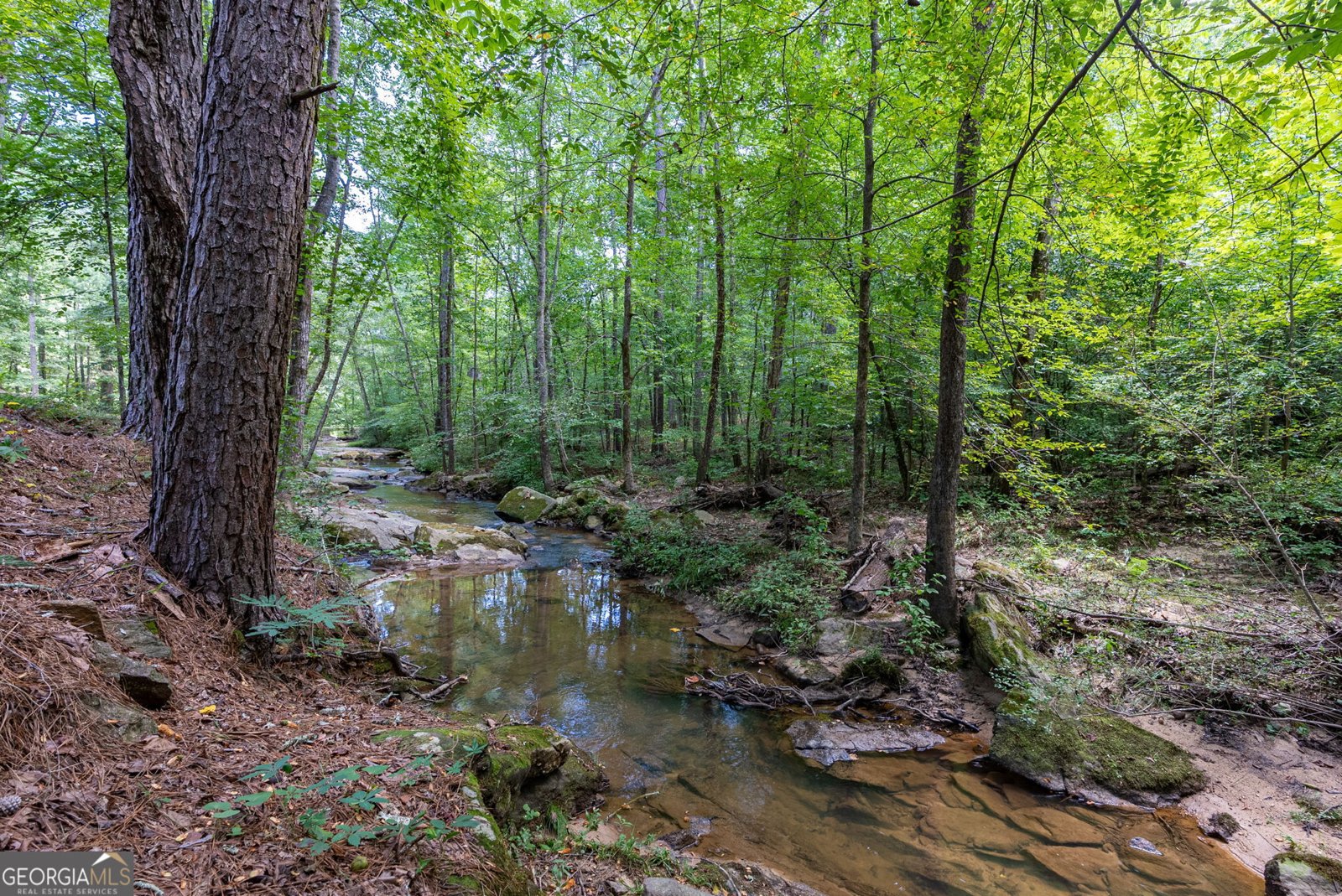 2425 Spratlin Mill Road Hull - Photo 74