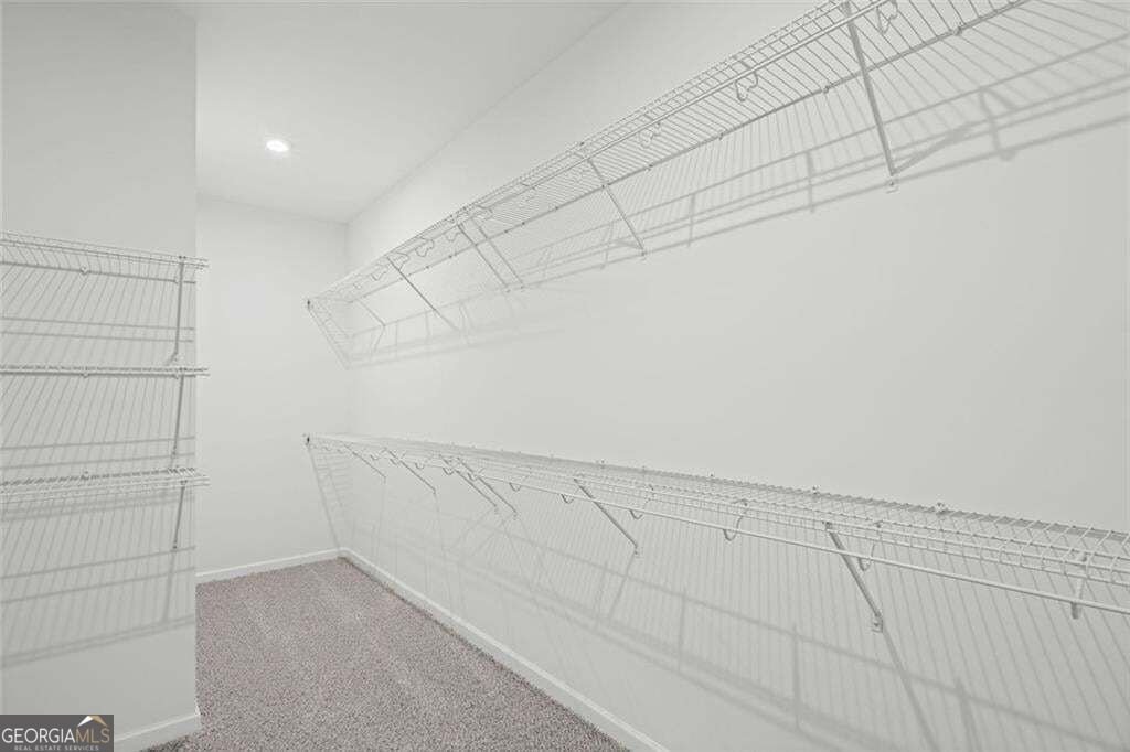 110 Loon Lake Way Hoschton - Photo 26