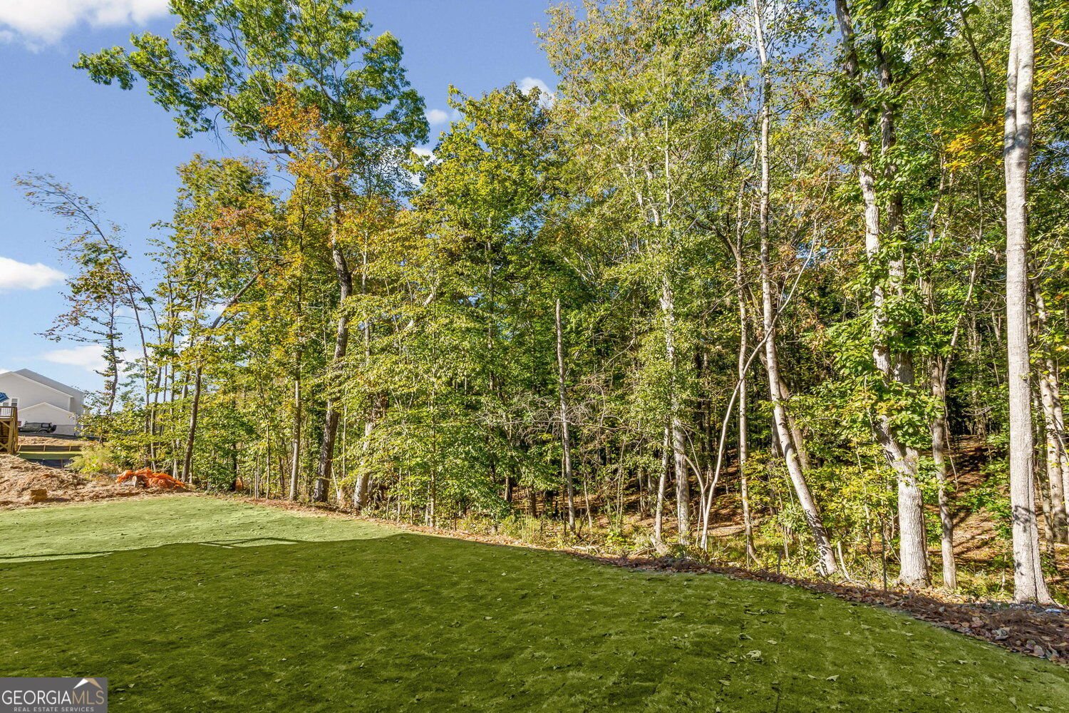 132 Wood Grove Lane Canton - Photo 40
