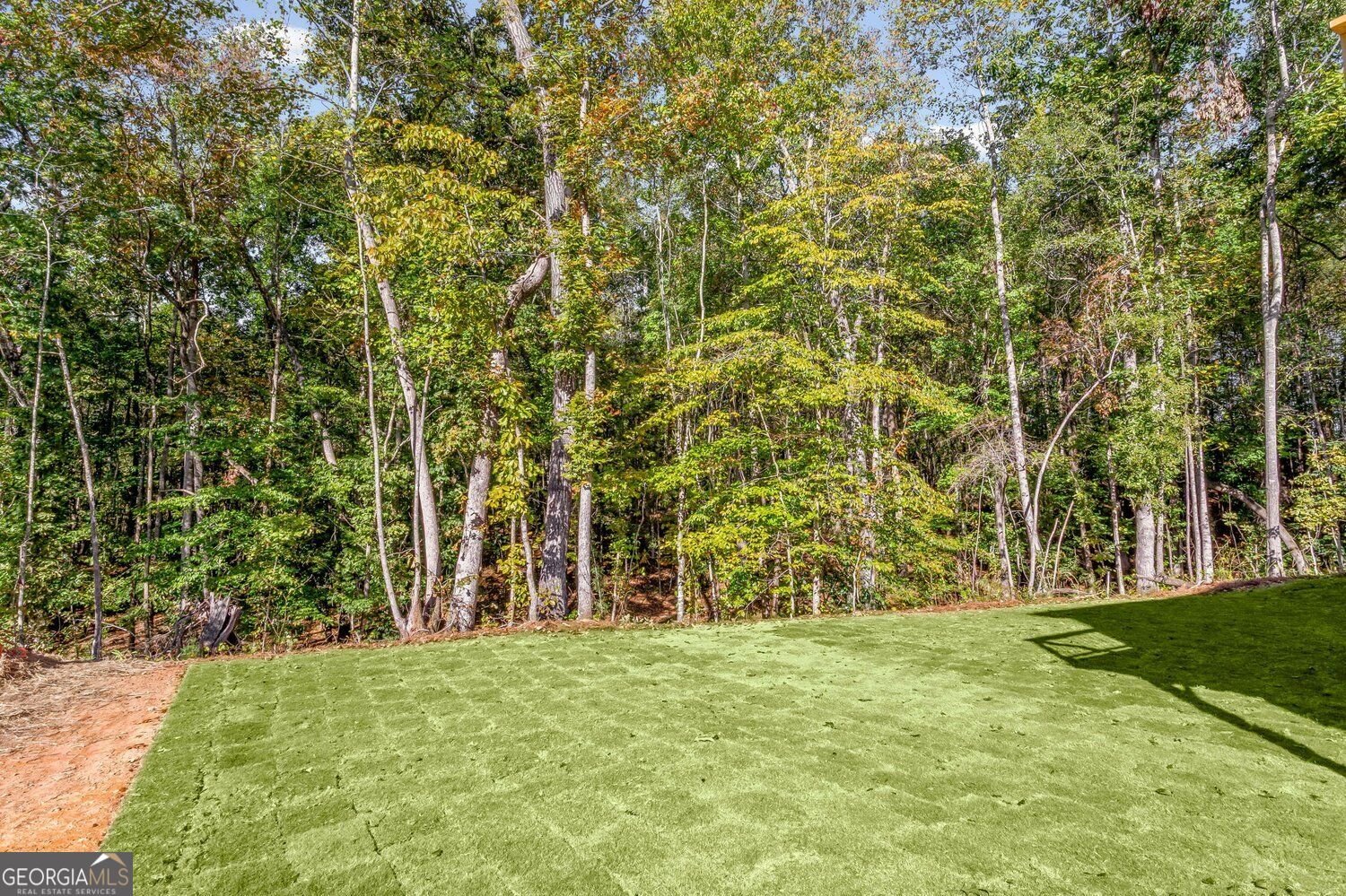 132 Wood Grove Lane Canton - Photo 41