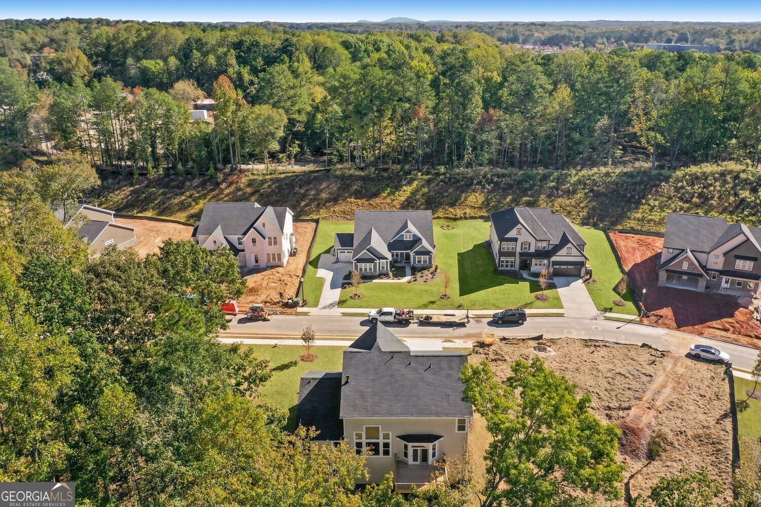 132 Wood Grove Lane Canton - Photo 46