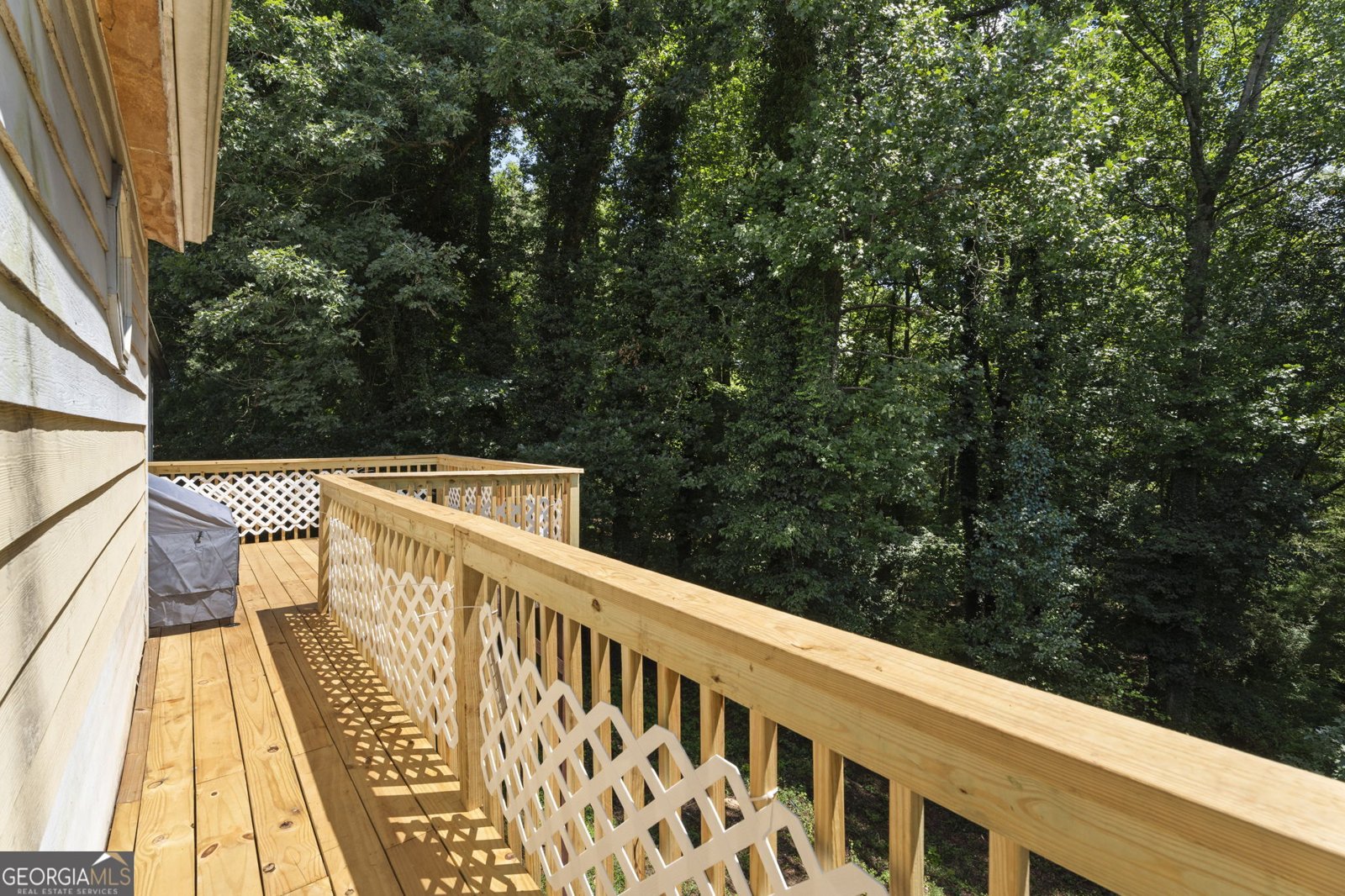 218 River Trace Court McDonough - Photo 38