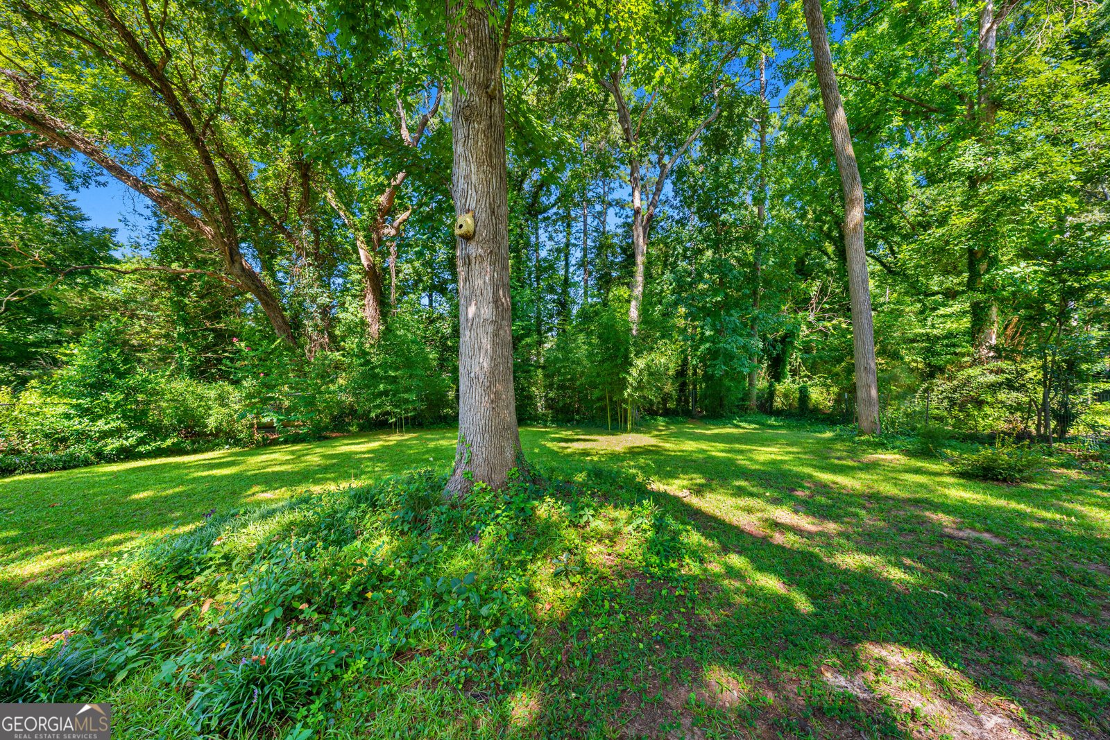 168 Springdale Drive Elberton - Photo 36