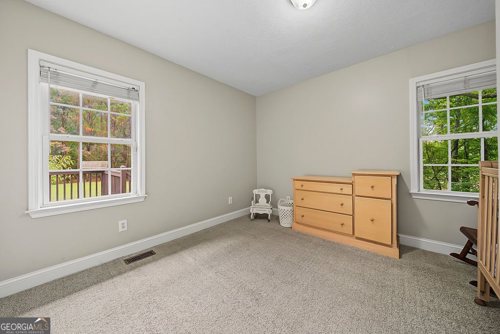 7444 Mt Vernon Road Lithia Springs - Photo 20