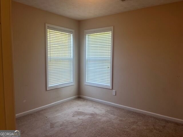 107 Meadows Drive Senoia - Photo 22