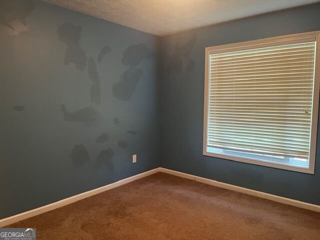 107 Meadows Drive Senoia - Photo 24