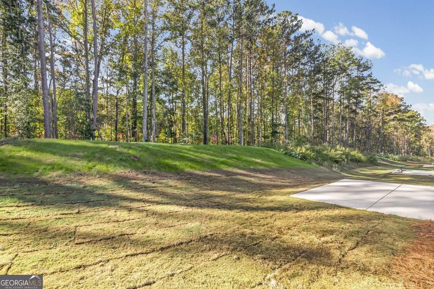 235 Sage Woods Way Dallas - Photo 38