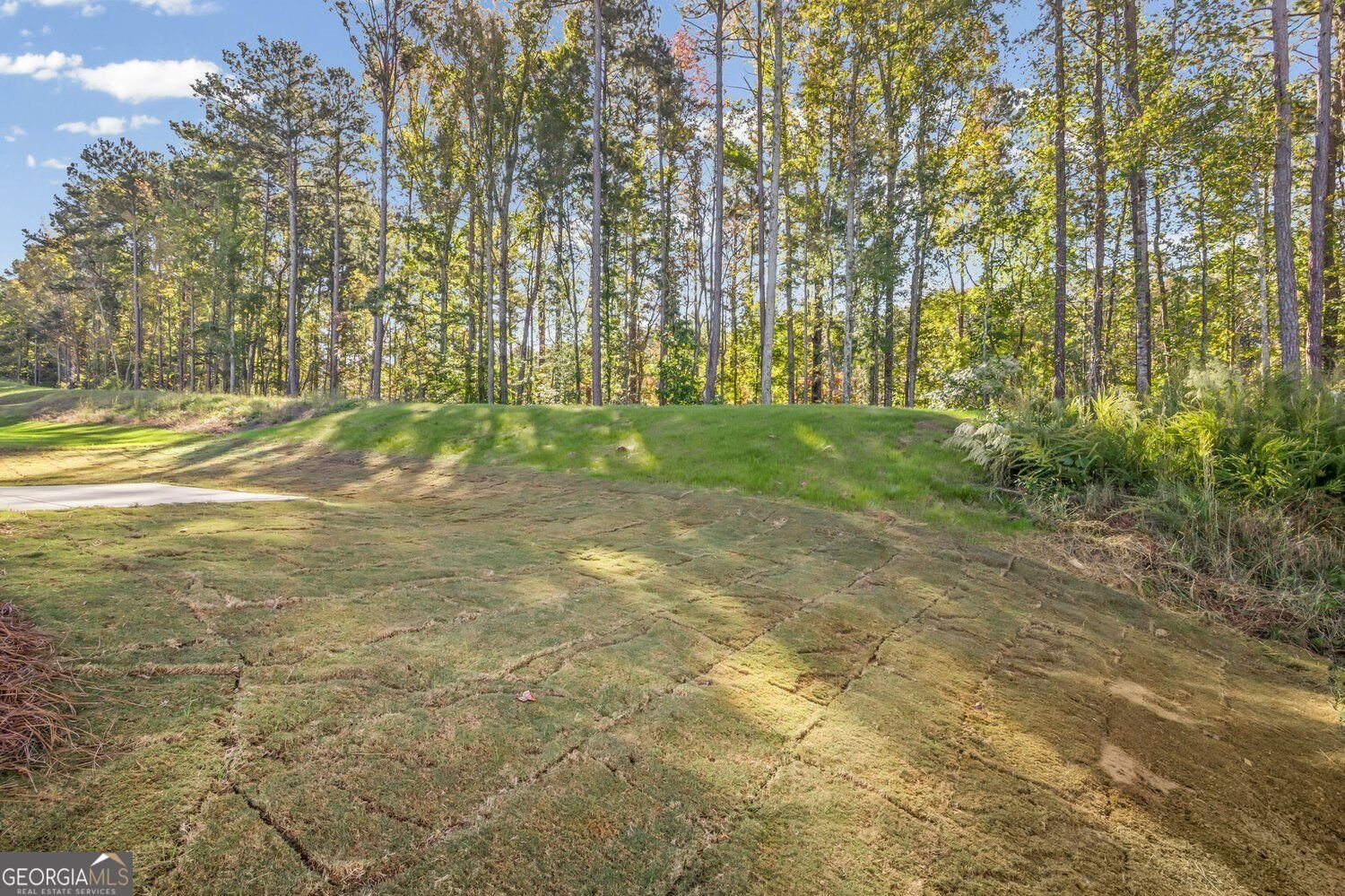 235 Sage Woods Way Dallas - Photo 39