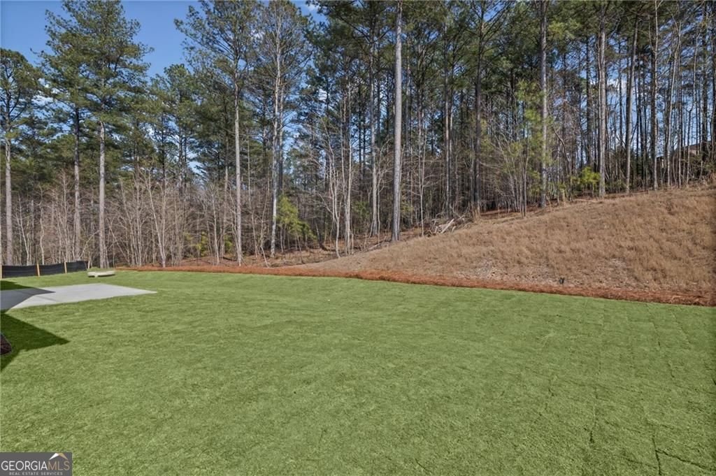 716 Conley Drive Canton - Photo 42