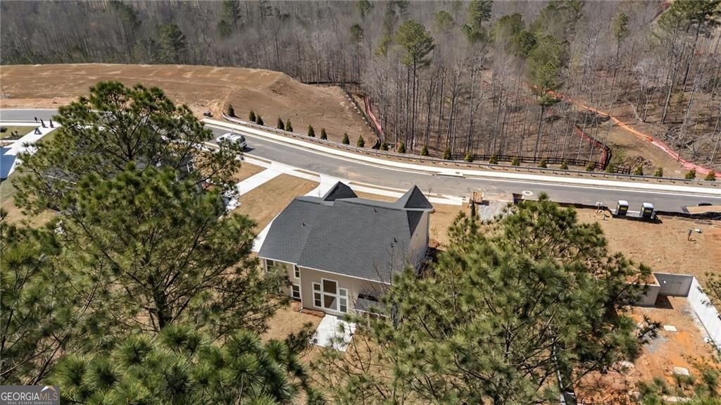 716 Conley Drive Canton - Photo 46