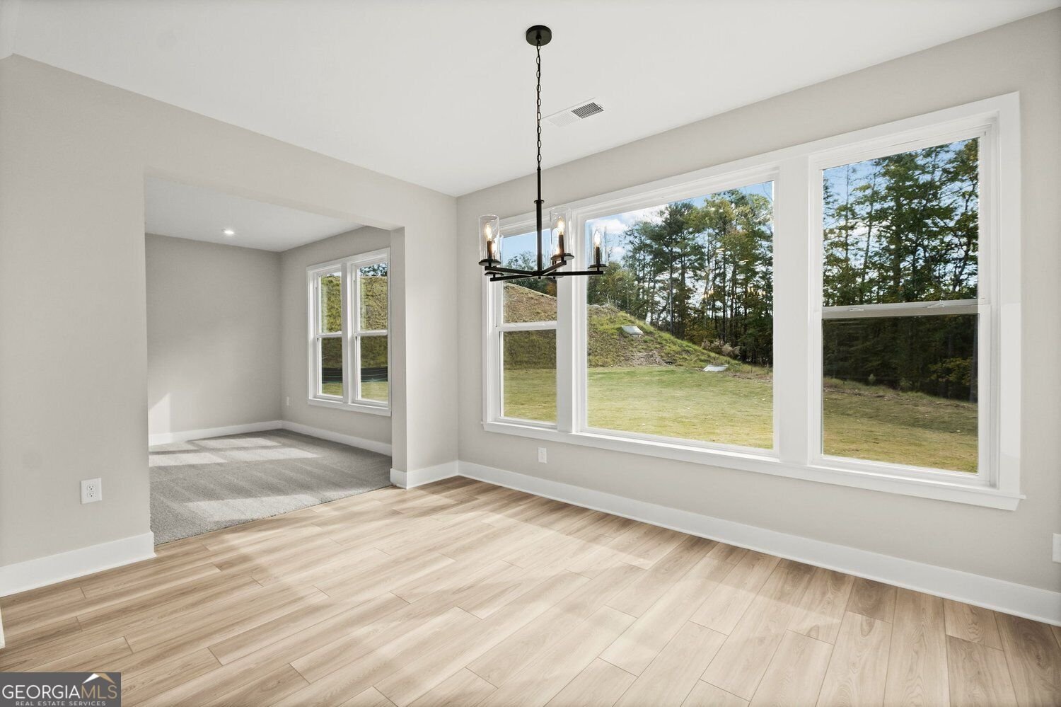 167 Wood Grove Lane Canton - Photo 21