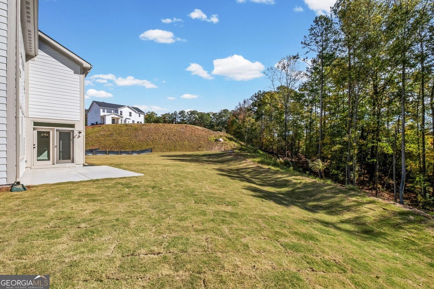 167 Wood Grove Lane Canton - Photo 42
