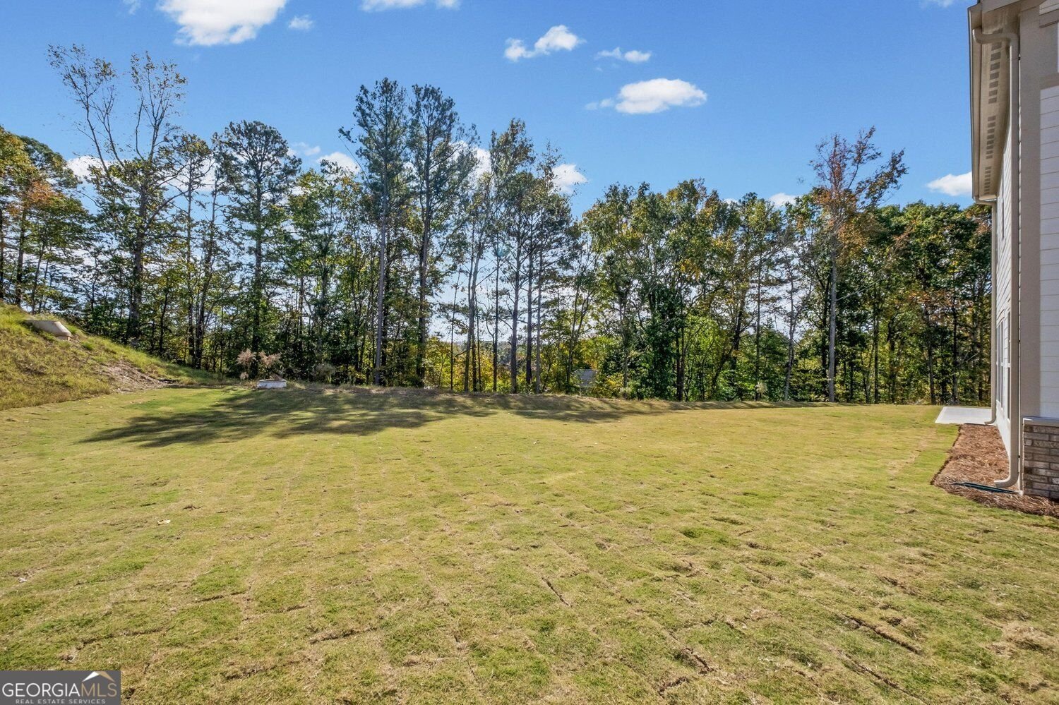 167 Wood Grove Lane Canton - Photo 43
