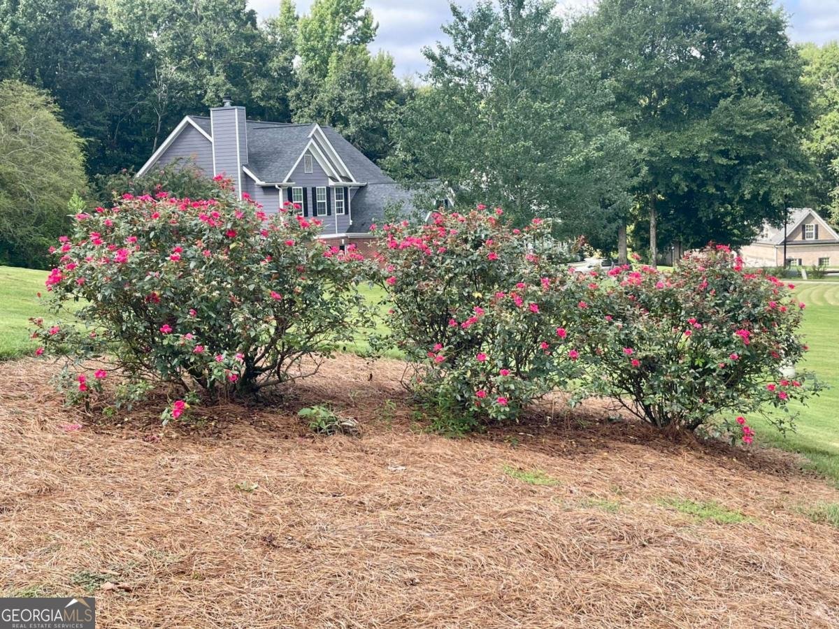 930 Vinings Drive Winder - Photo 50