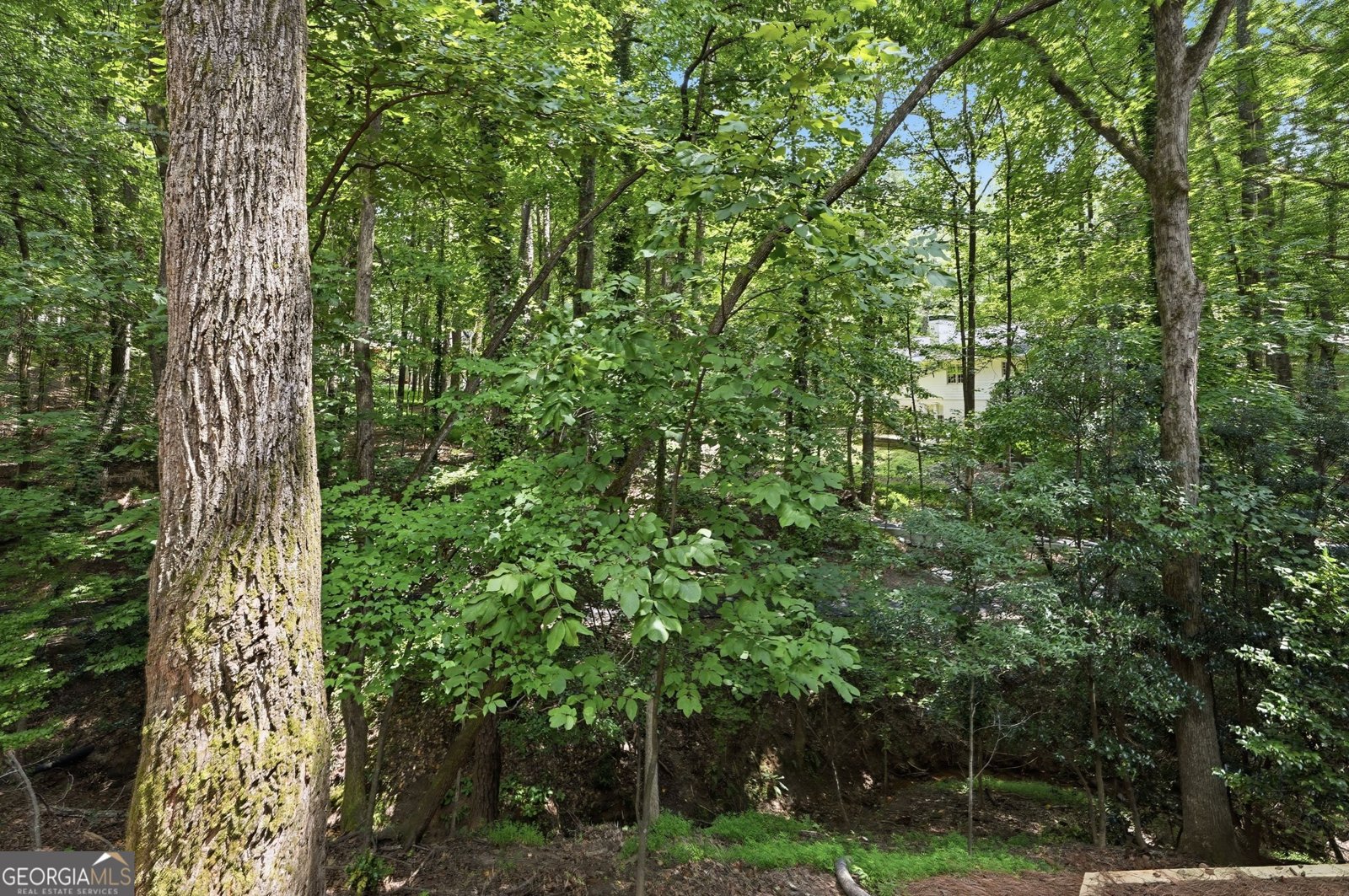 110 Bitternut Circle Roswell - Photo 49