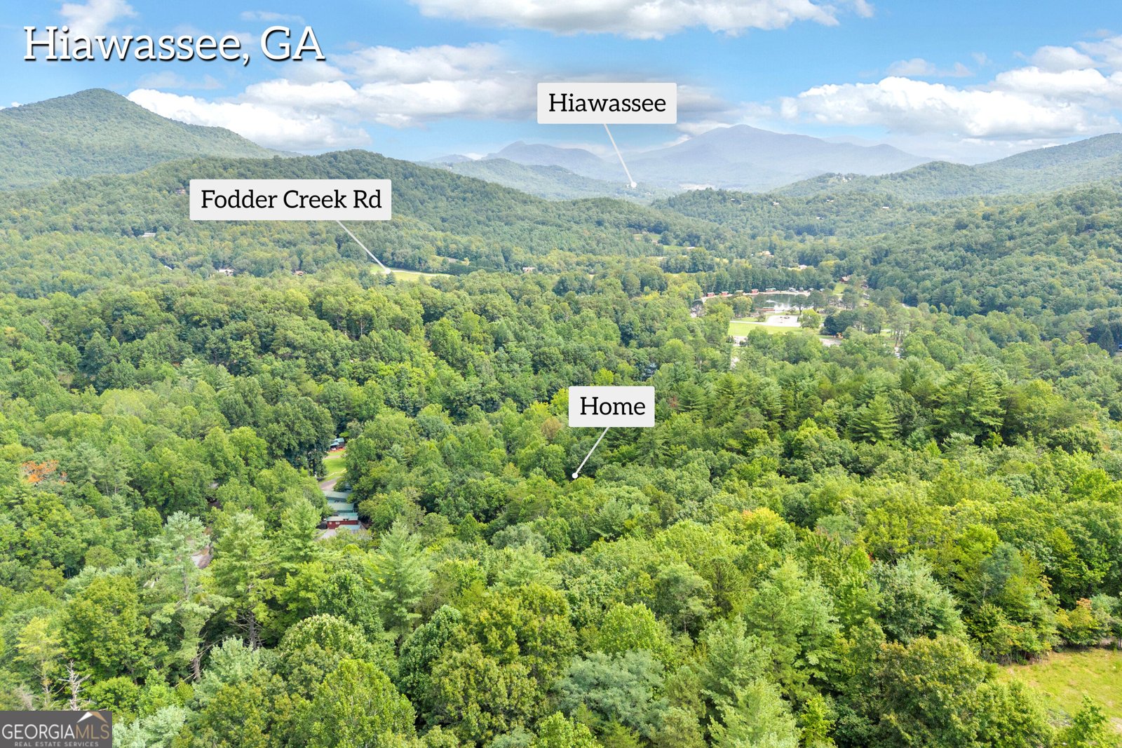 1178 Ruby Lake Drive Hiawassee - Photo 32