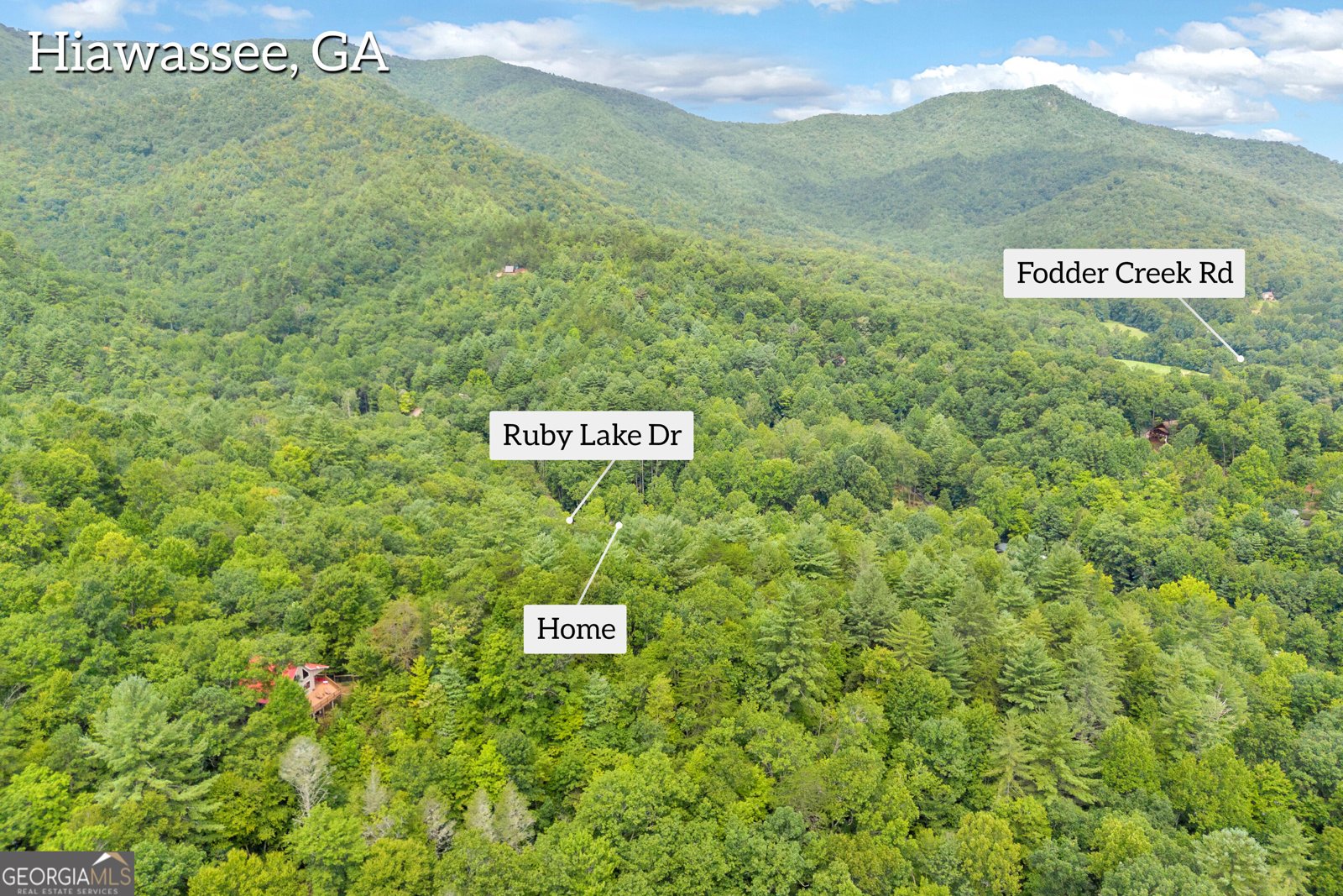 1178 Ruby Lake Drive Hiawassee - Photo 34
