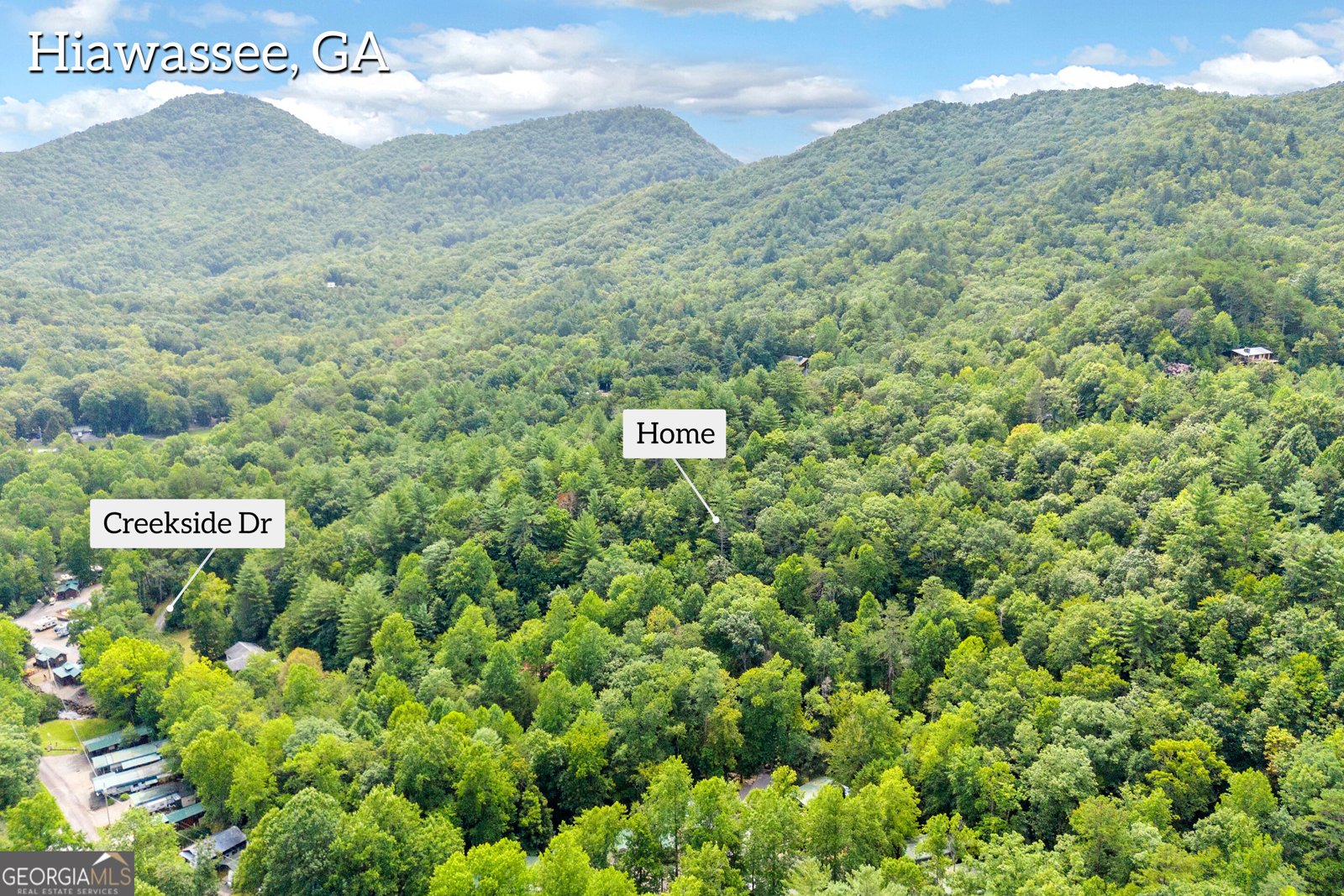 1178 Ruby Lake Drive Hiawassee - Photo 36