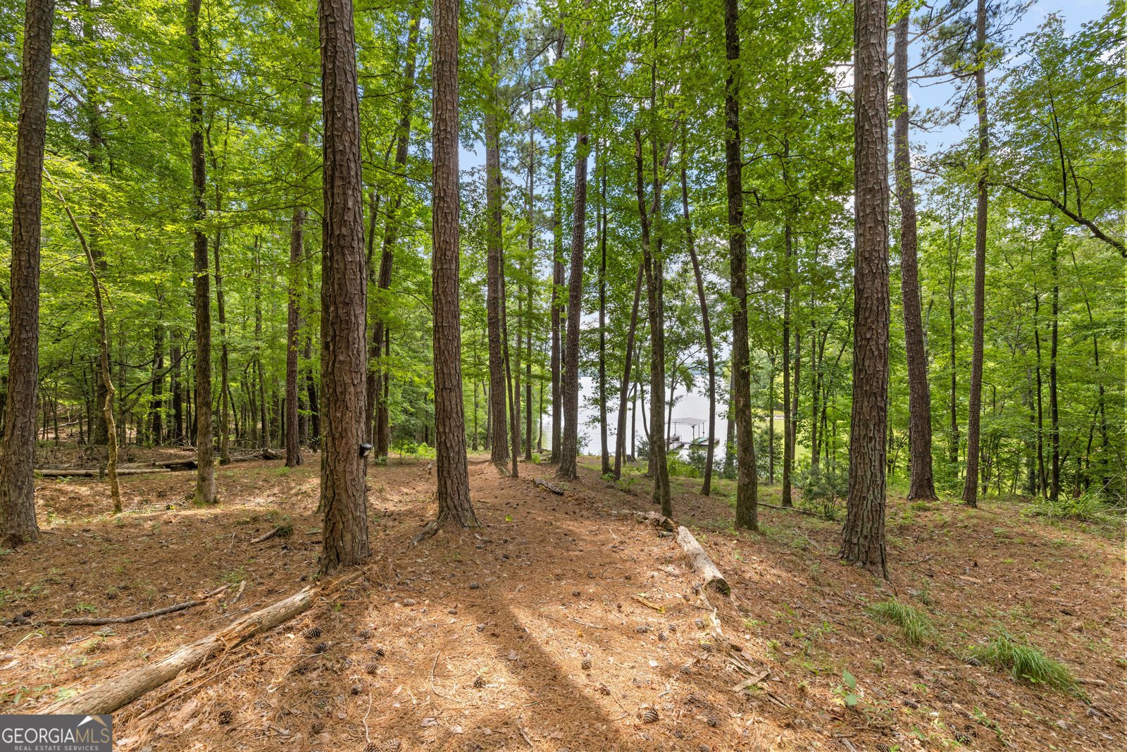 39 Village Pointe Drive Lagrange - Photo 6