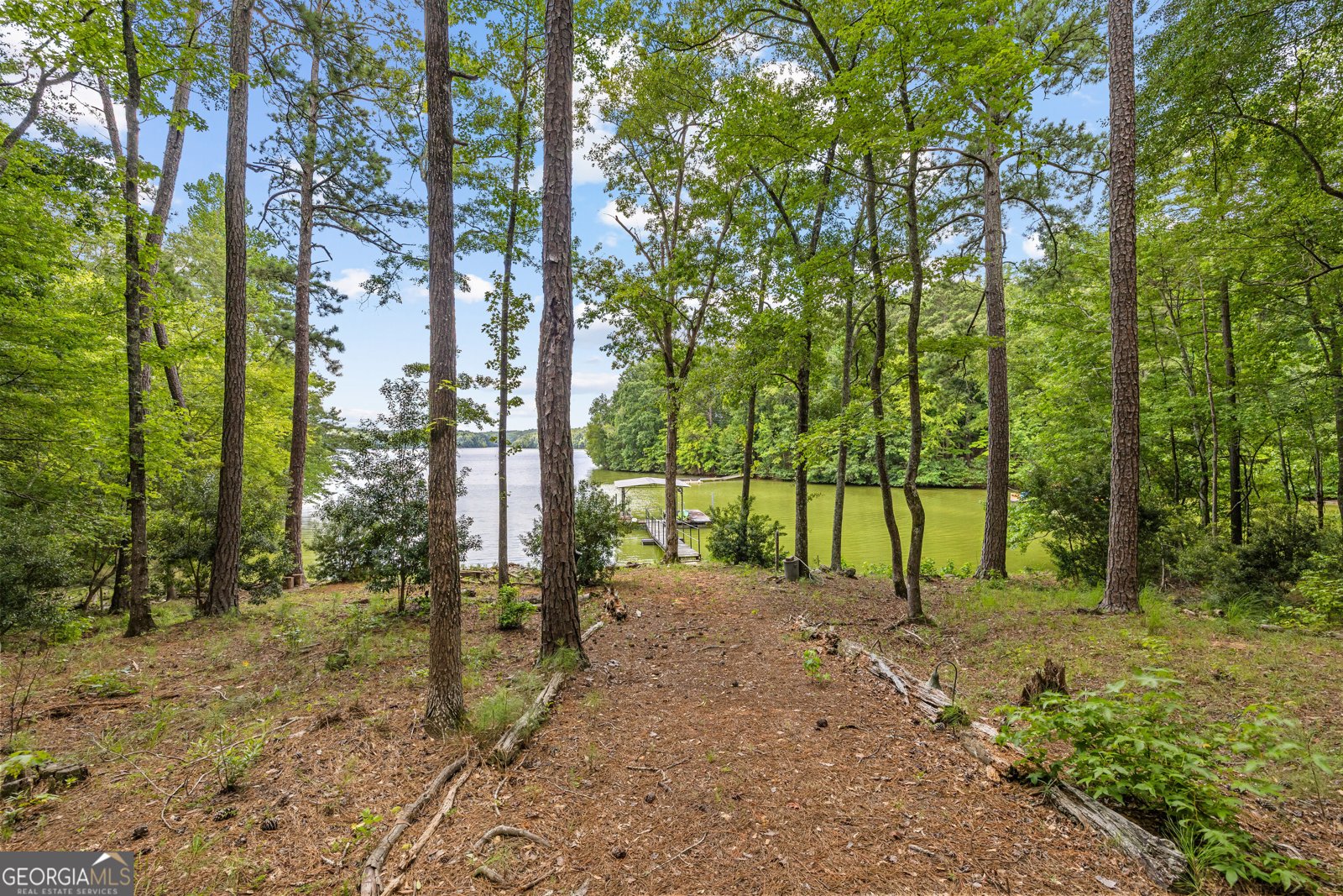 39 Village Pointe Drive Lagrange - Photo 7