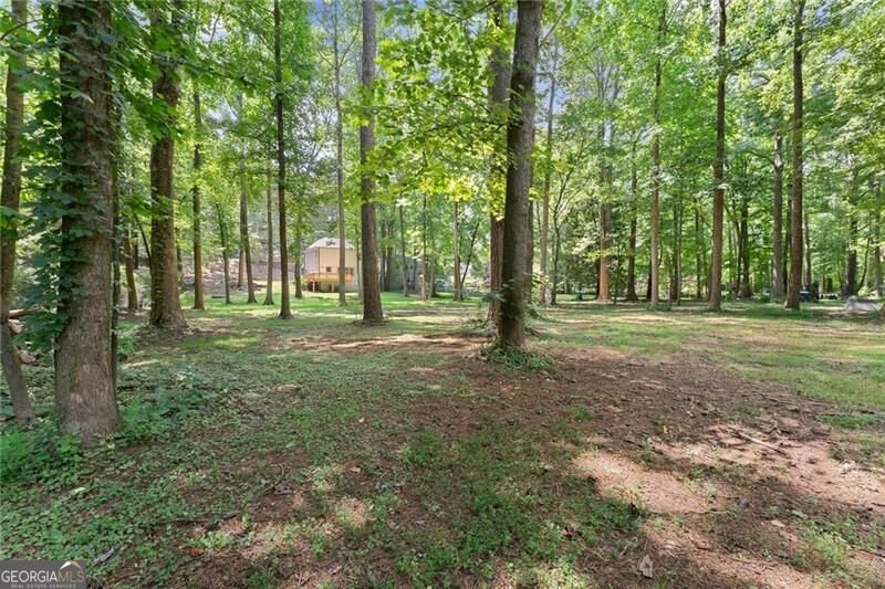 347 Shalloway Drive Kennesaw - Photo 44