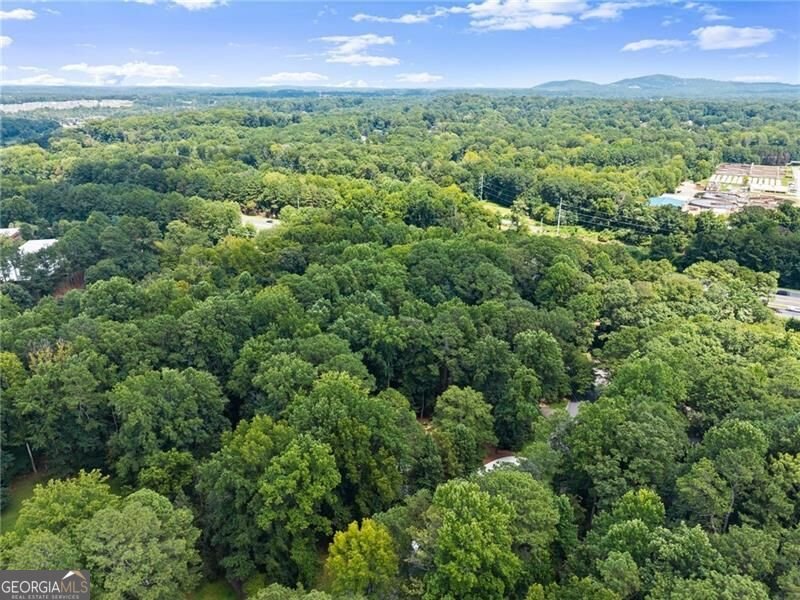 347 Shalloway Drive Kennesaw - Photo 49