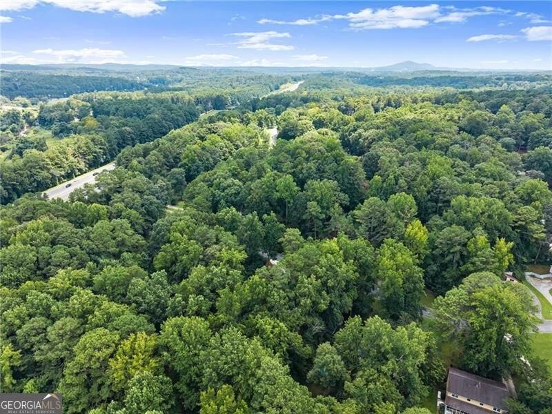 347 Shalloway Drive Kennesaw - Photo 52
