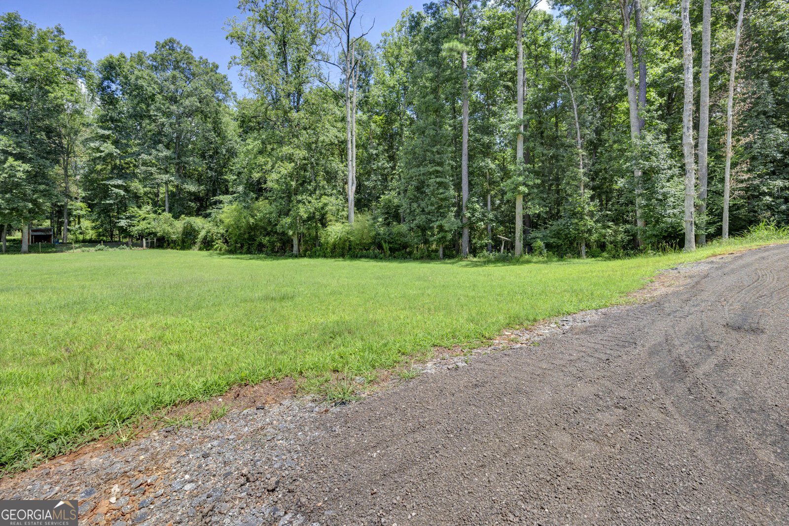 1675 Alcovy Trestle Road Social Circle - Photo 47