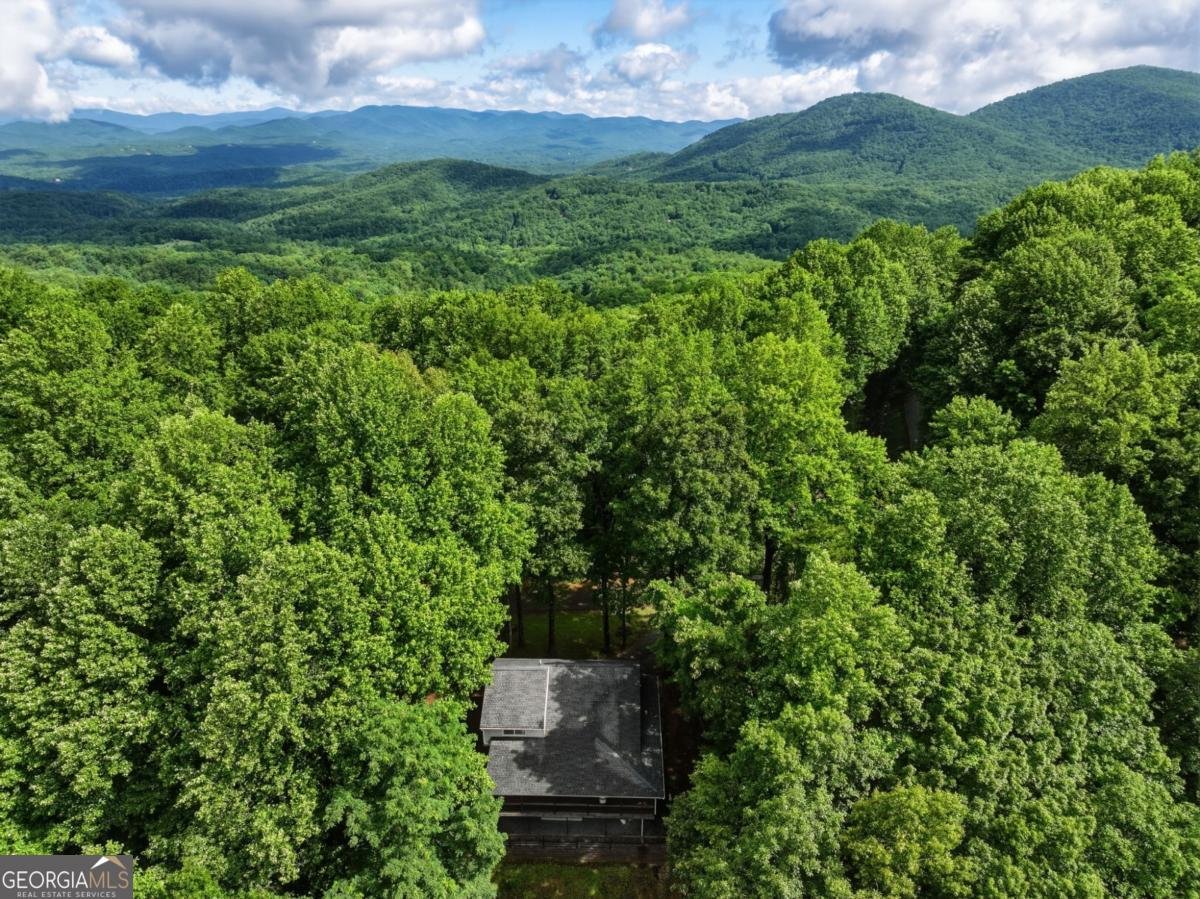 1220 Walnut Ridge Ellijay - Photo 42