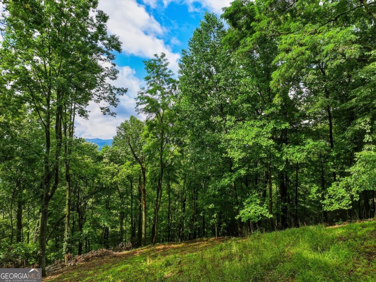 1220 Walnut Ridge Ellijay - Photo 43