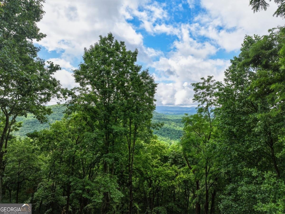 1220 Walnut Ridge Ellijay - Photo 44