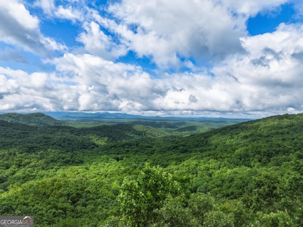 1220 Walnut Ridge Ellijay - Photo 6