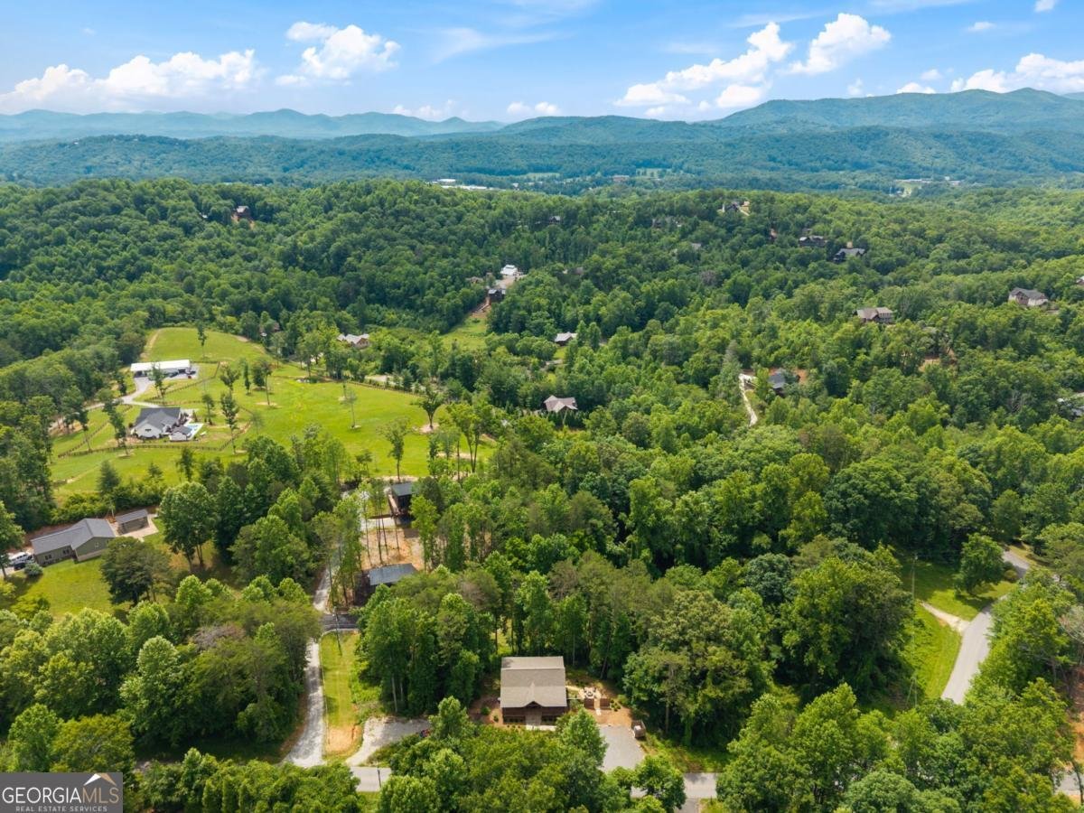 531 Sowers Road Blue Ridge - Photo 67