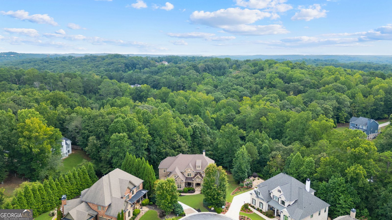 1750 Cone Flower Way Suwanee - Photo 57