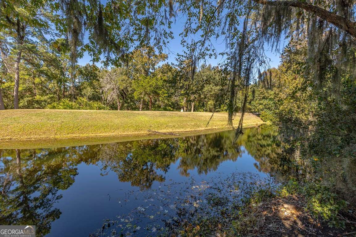 3 Bay Tree Court St. Simons - Photo 32