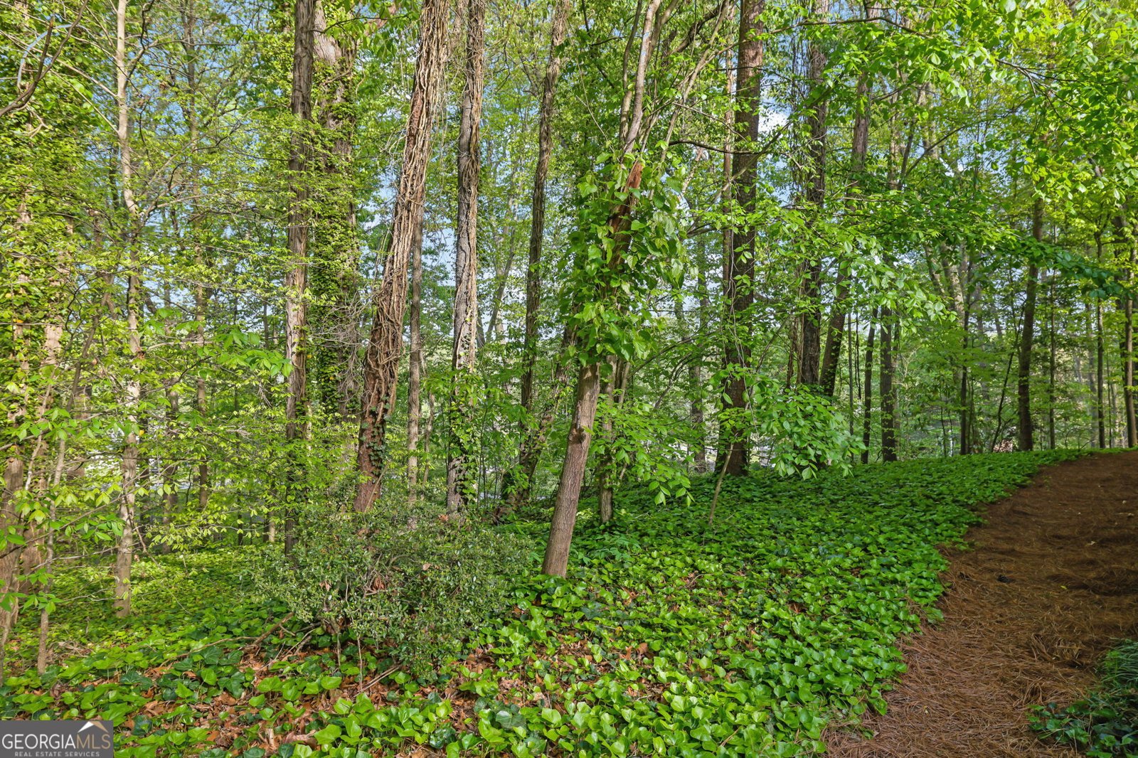 2588 Oakwood Way Smyrna - Photo 54