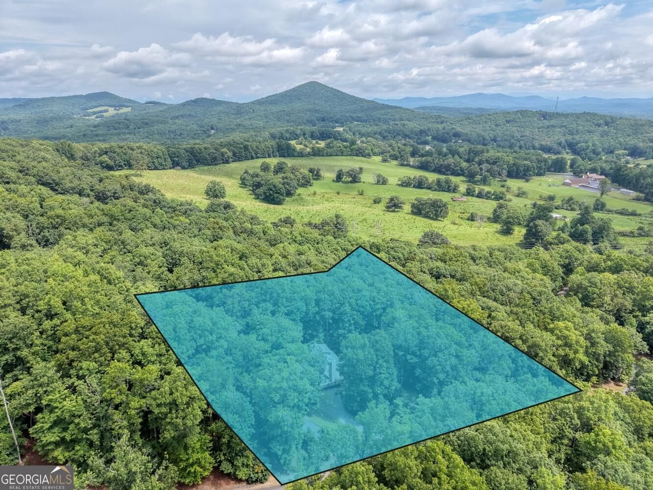 394 Sheep Stomp Road Blairsville - Photo 49