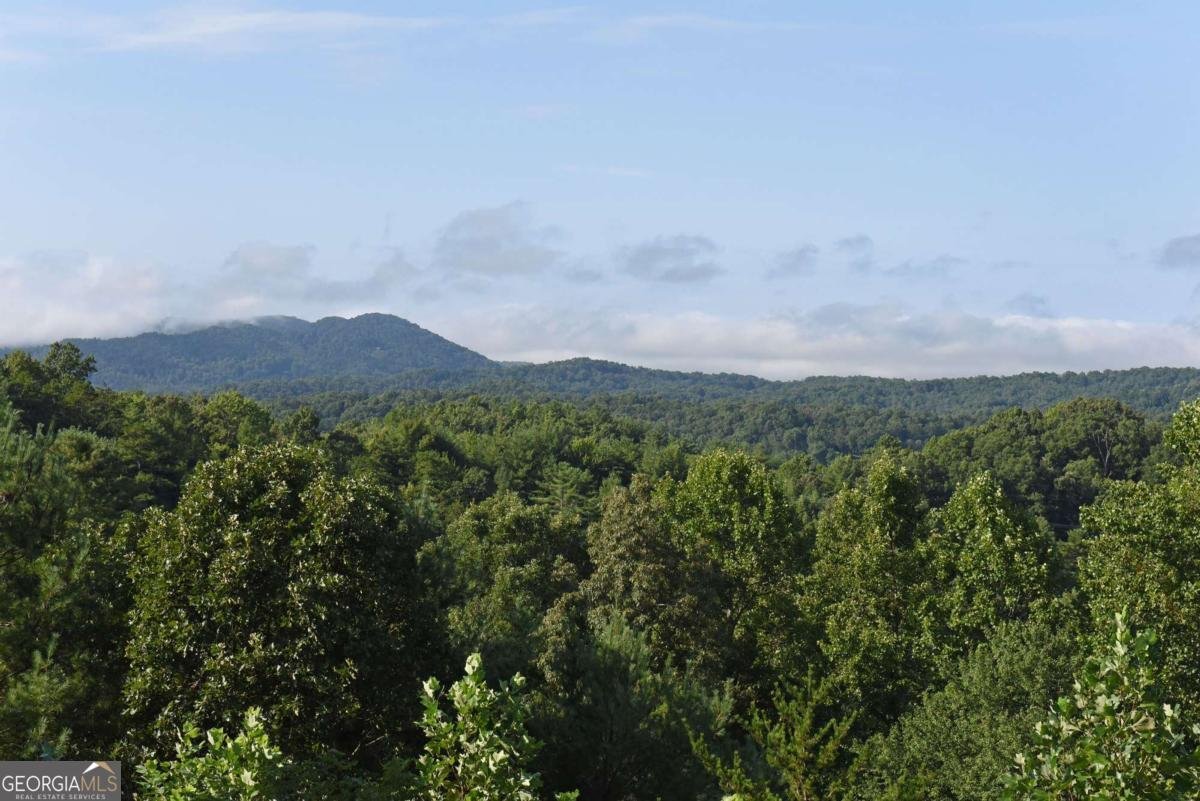 120 Big Sky Drive Murphy - Photo 19