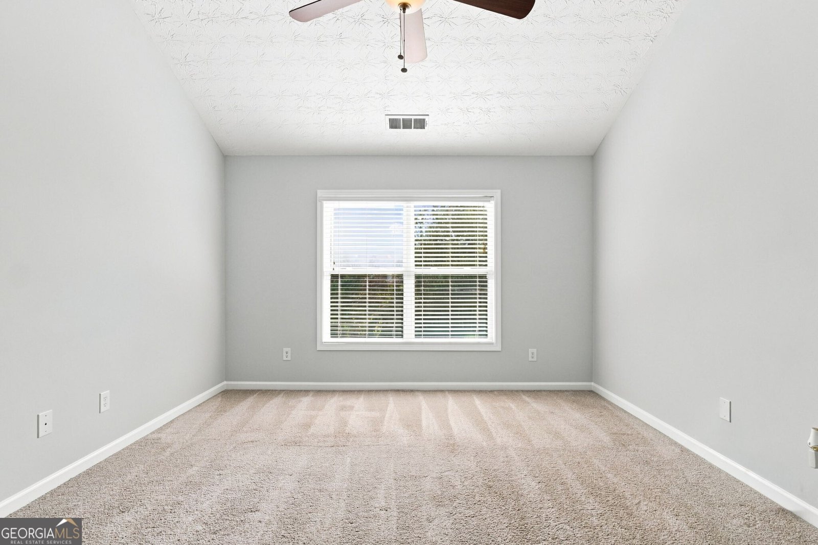 309 Woodland Pass Canton - Photo 26