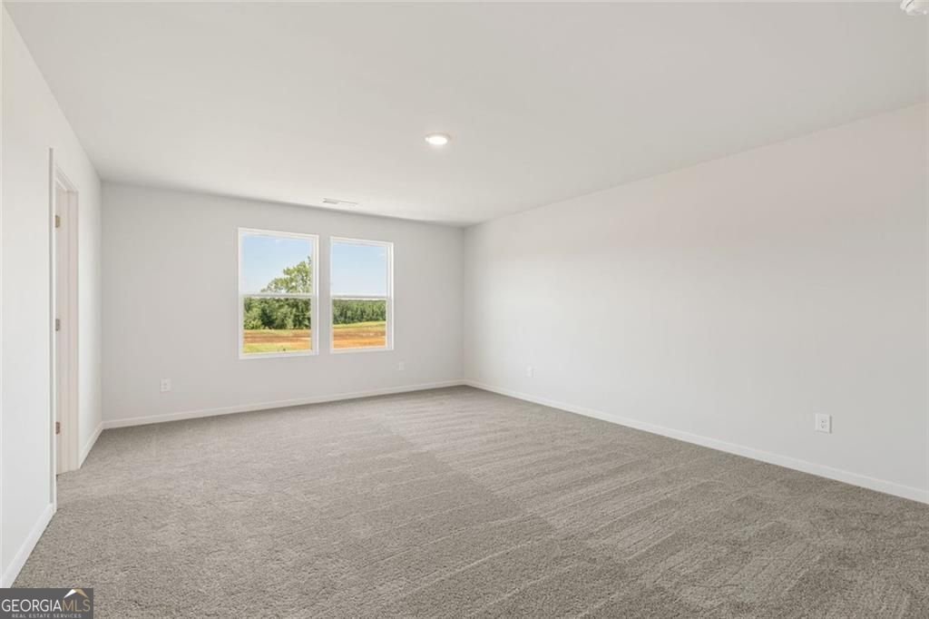 313 Earnshaw Avenue McDonough - Photo 14