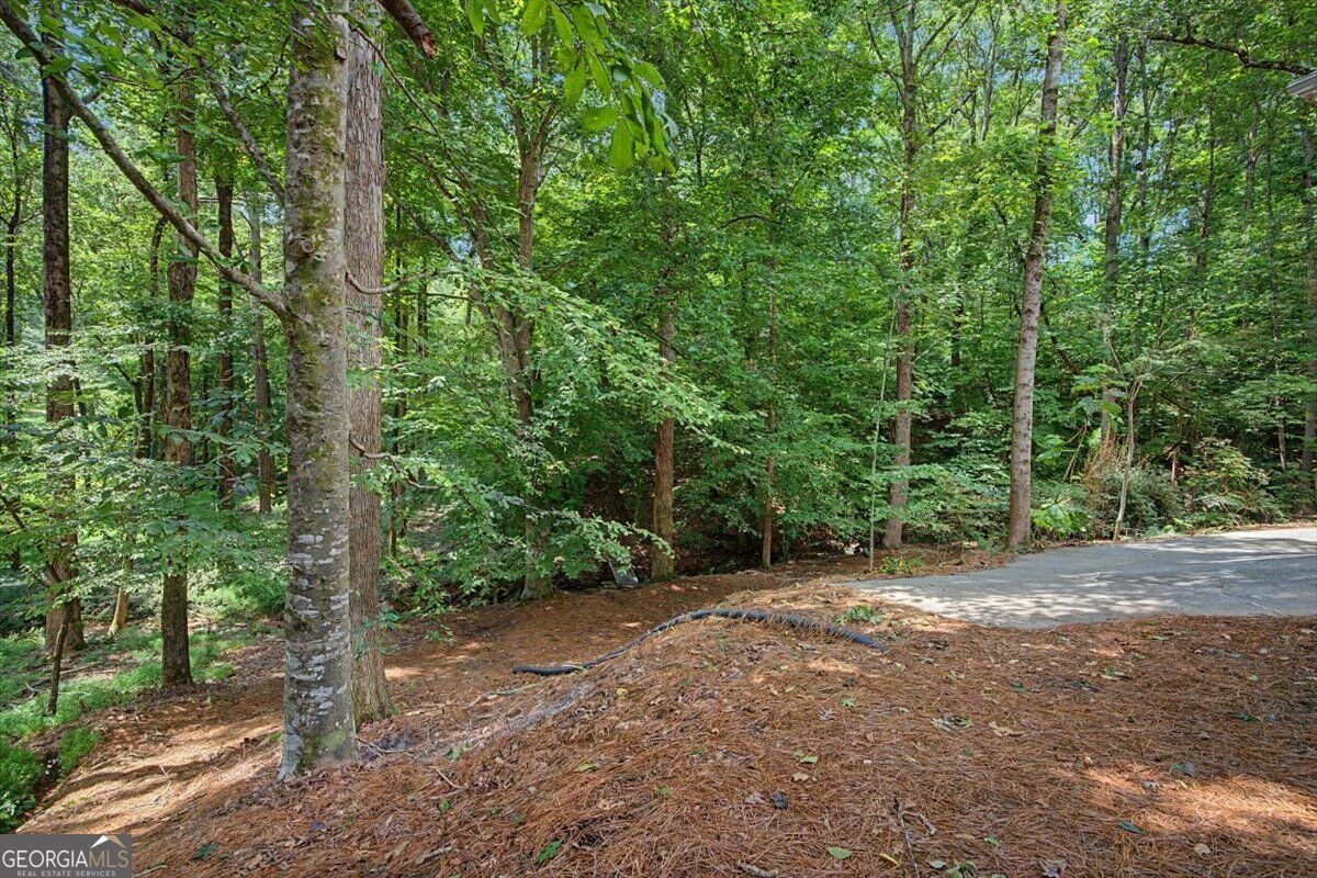 1244 Timberland Drive Marietta - Photo 73