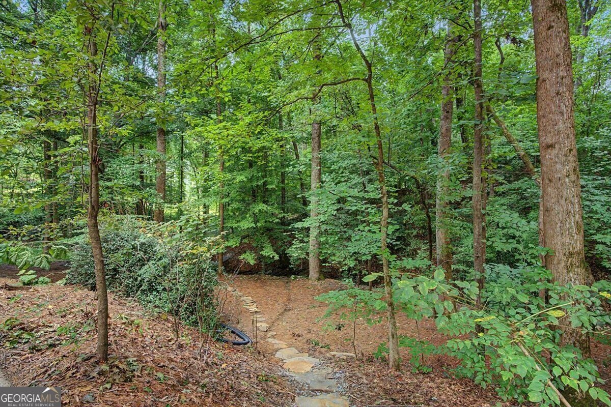 1244 Timberland Drive Marietta - Photo 79