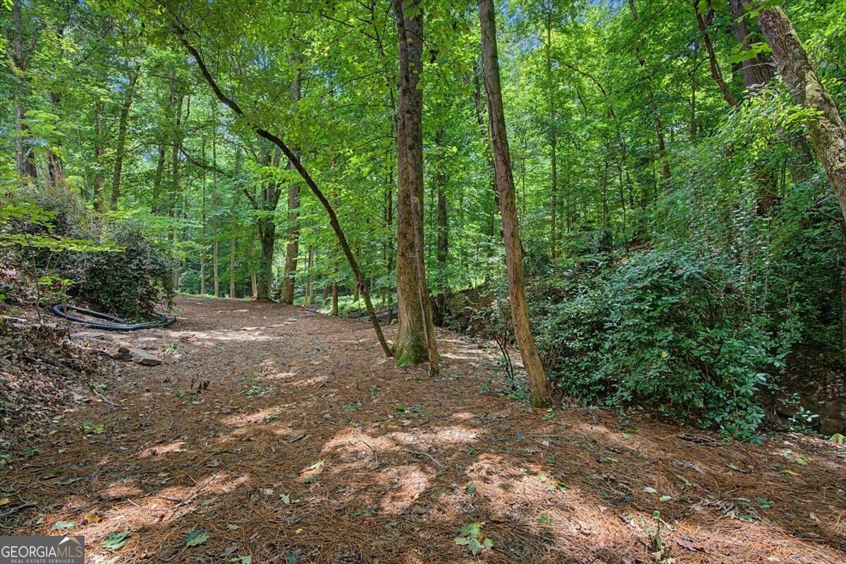 1244 Timberland Drive Marietta - Photo 81