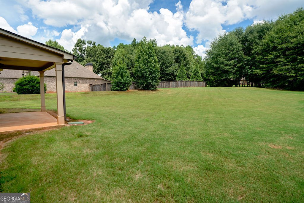 158 Walcille Lane McDonough - Photo 24
