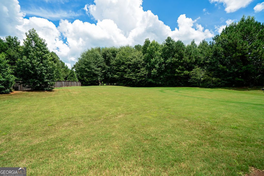 158 Walcille Lane McDonough - Photo 26