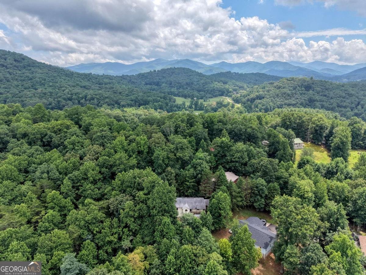 553 Grayce Lane Hiawassee - Photo 39