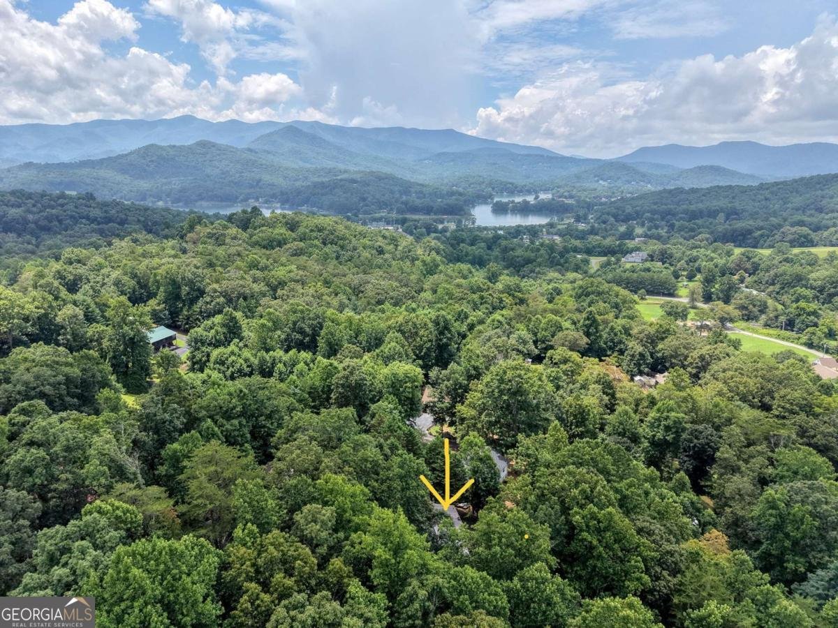 553 Grayce Lane Hiawassee - Photo 40